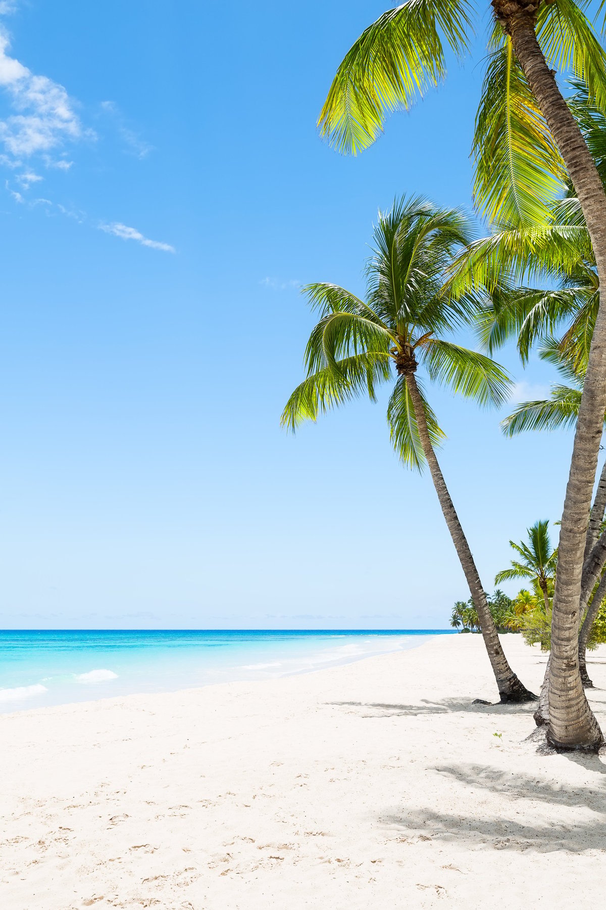 Dominican Republic Saona Island Caribbean beach