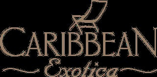 Pixel art logo for Carreen, a video game with a mountain or house silhouette above the text